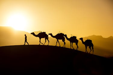Randonnée à dos de chameau au coucher du soleil à Agadir et dîner barbecue